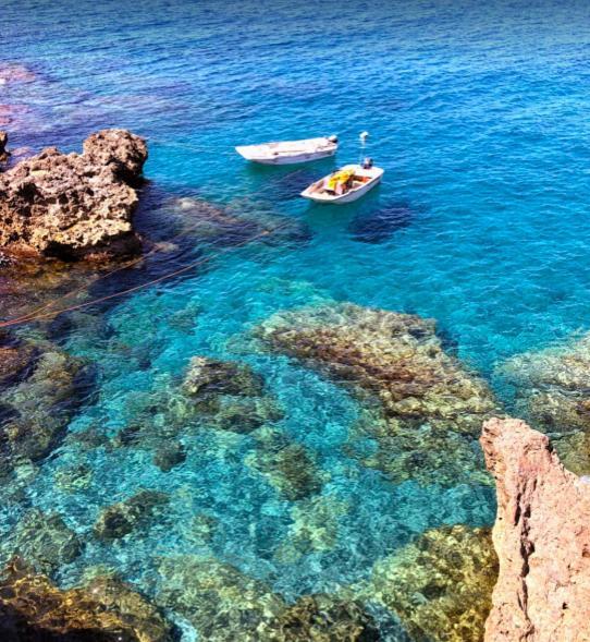 Caletta Del Porto Bed & Breakfast Diamante Ngoại thất bức ảnh